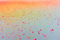 Image 4 of Murmurations_251211 | Canva | Original artwork