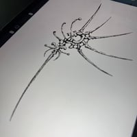 Image 1 of sketch 23