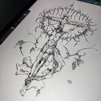 Image 1 of sketch 25