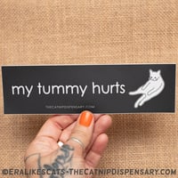 My Tummy Hurts Sticker, featuring Anxiety Cat