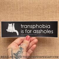 Transphobia is for Assholes Sticker, featuring Anxiety Cat