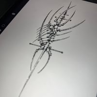 Image 1 of sketch 30