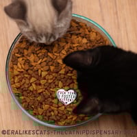 Image 1 of Fuck Yeah I Foster Kittens Enamel Pin