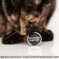 My Cat Likes to Get High Enamel Pin