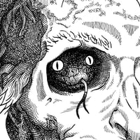 Image 3 of Original • FURTIF - ce qui nous meut