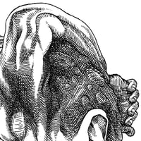 Image 2 of Original • FURTIF - recours à la rage