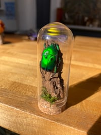 Green Scarab Beetle 