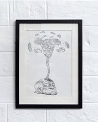 Image 1 of Original • torpeur - prolifération