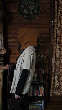 Image 3 of gnome hood #6