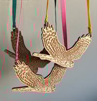 Image 1 of Hen Harrier Necklace