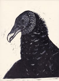 Image 2 of Black Vulture Linocut Print 9"x 12"