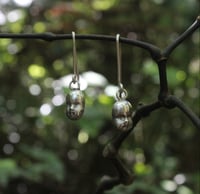 Image 4 of Echo Dolls