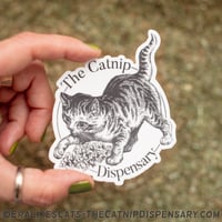 Image 1 of Catnip Kitten Sticker