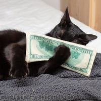 Image 2 of Catnip Crinkle Cash