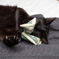 Image 4 of Catnip Crinkle Cash