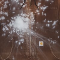 Image 2 of light through trees - L