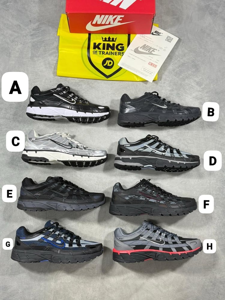 Image of P 6000 (1:1)