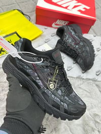 Image 2 of P 6000 (1:1)