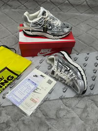 Image 13 of P 6000 (1:1)