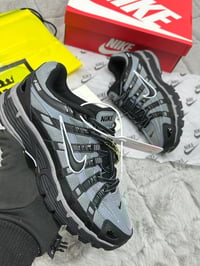 Image 16 of P 6000 (1:1)