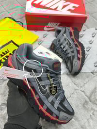 Image 11 of P 6000 (1:1)