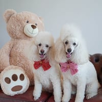 CROCHET BOW - RED METALLIC