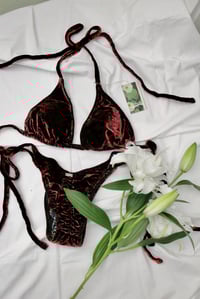 Image 1 of ♲ Red Paisley Velvet Bikini Set - XL