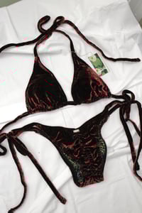 Image 2 of ♲ Red Paisley Velvet Bikini Set - XL
