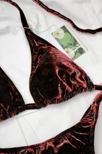 Image 3 of ♲ Red Paisley Velvet Bikini Set - XL