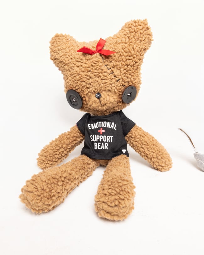 Emotional support bear 