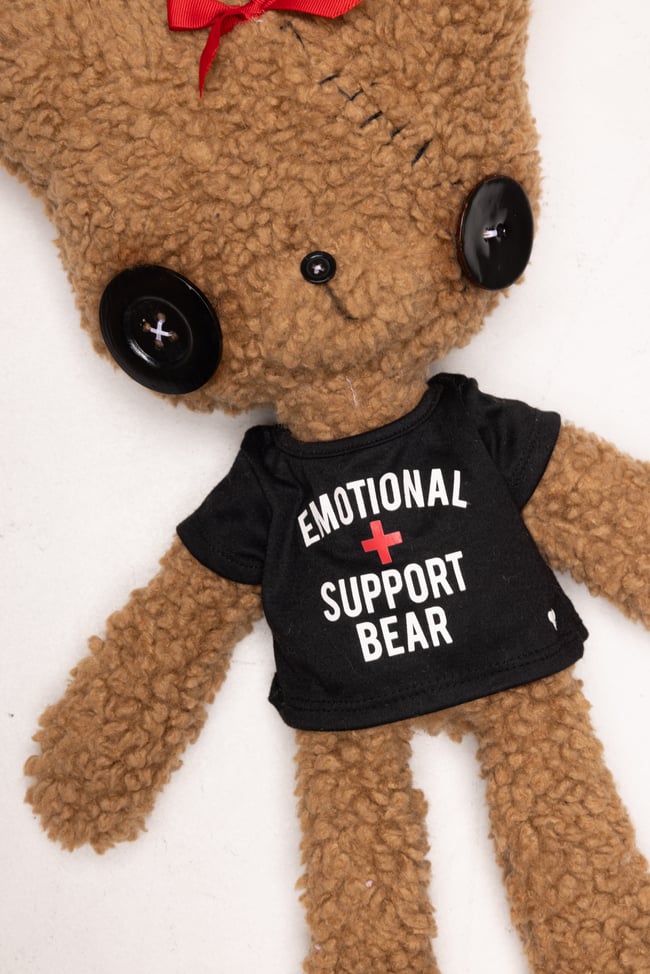 Emotional support bear 