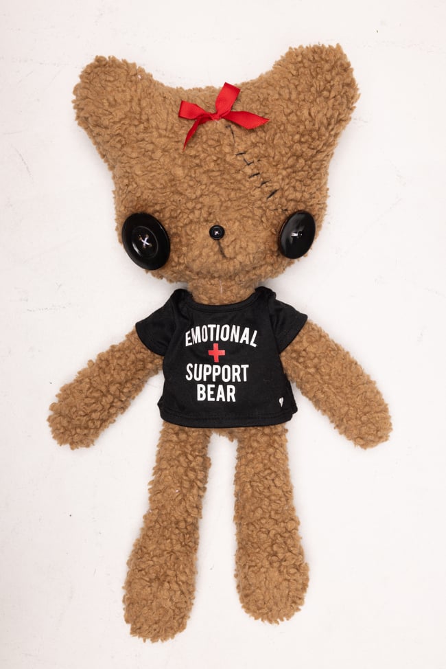 Emotional support bear 