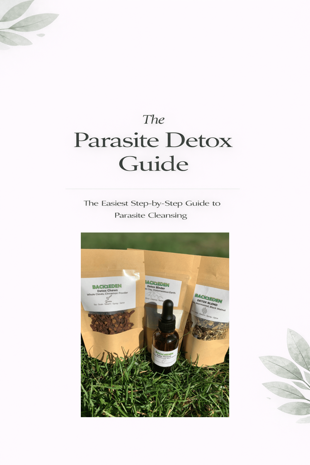 Image of The Parasite Detox Guide