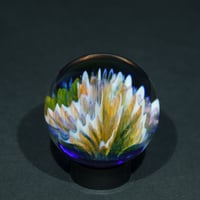 Image 4 of Standing Wave