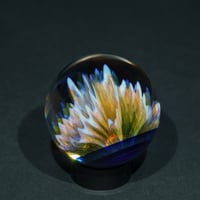 Image 6 of Standing Wave