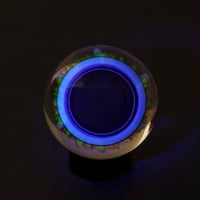 Image 10 of Standing Wave