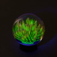 Image 5 of Standing Wave