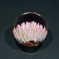 Image 4 of Thermal Bloom