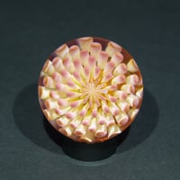 Image 2 of Thermal Bloom