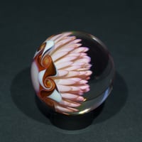 Image 8 of Thermal Bloom