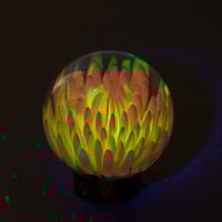 Image 3 of Thermal Bloom