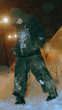 Image 1 of *PREORDER* Alien zip-up hoodie