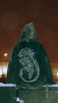 Image 2 of *PREORDER* Alien zip-up hoodie