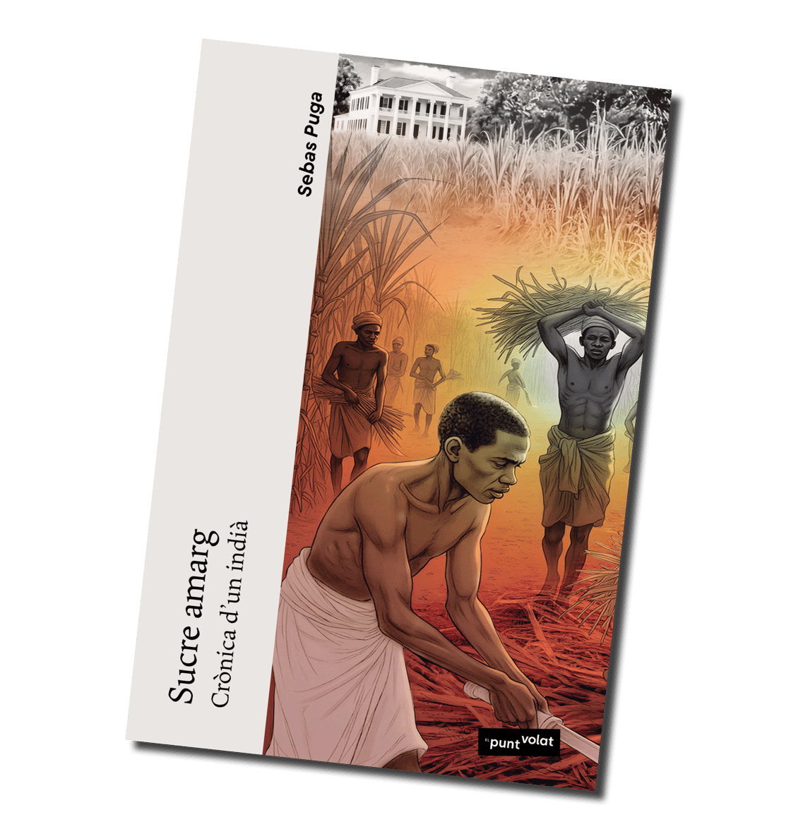 Image of Sucre amarg, de Sebas Puga