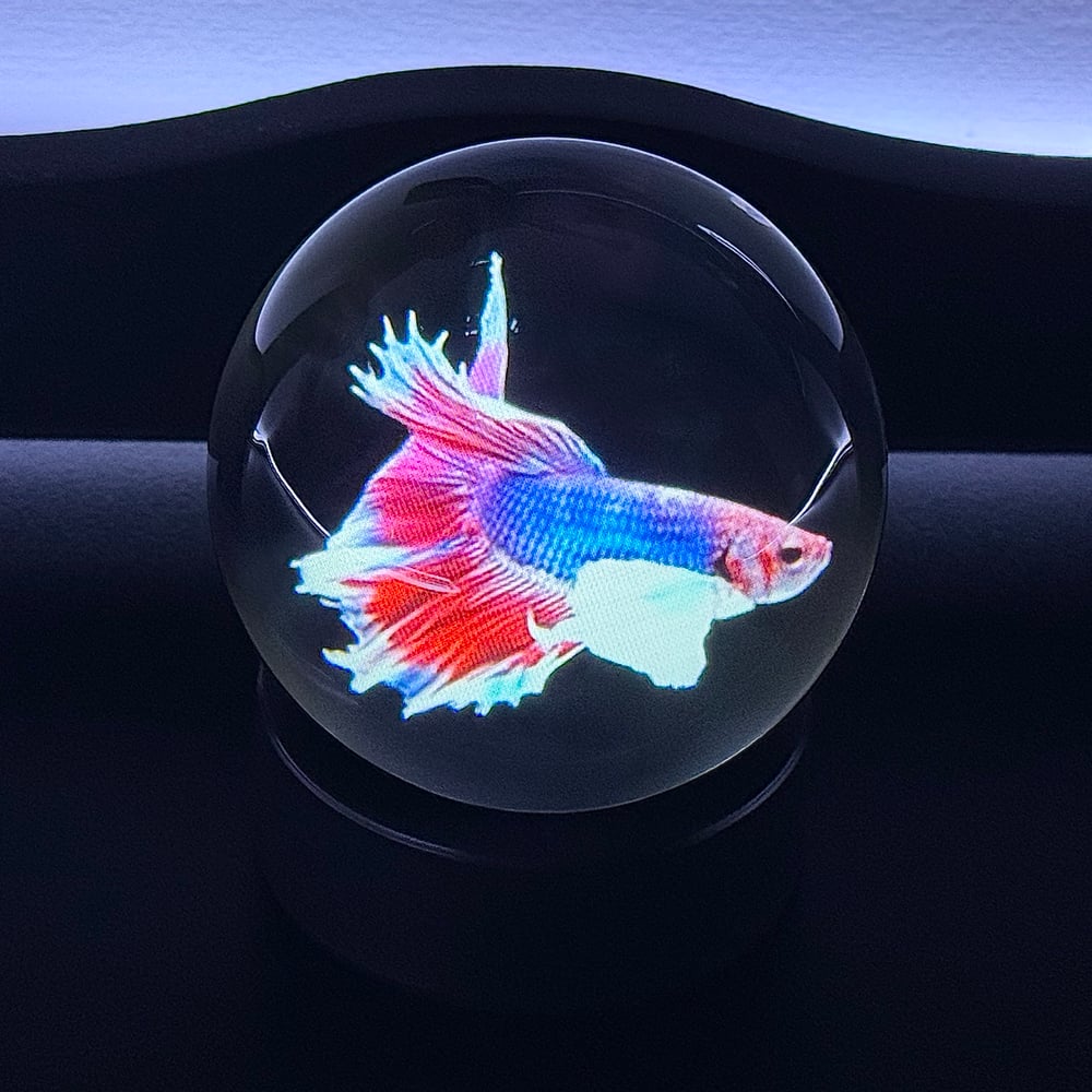 Image of The Magical Orb 2.0