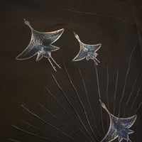 Image 5 of  "Kuro Watari-Dori"　黒　渡り鳥　（Noir /　L'oiseaux migrateur  )