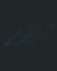 Image 2 of Blue dolphin embroidery - Unique design on XL size