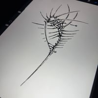 Image 1 of sketch 31