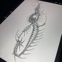 Image 1 of sketch 41