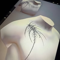 Image 2 of sketch 48